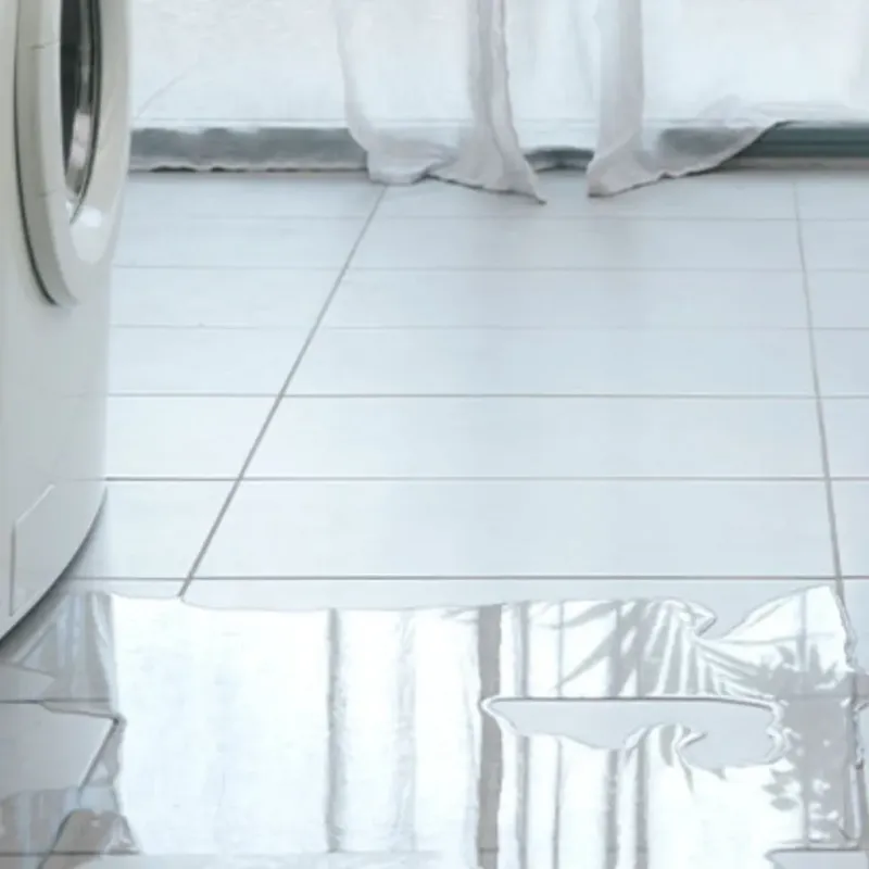 Appliance Leak Cleanup in Greenville, KY