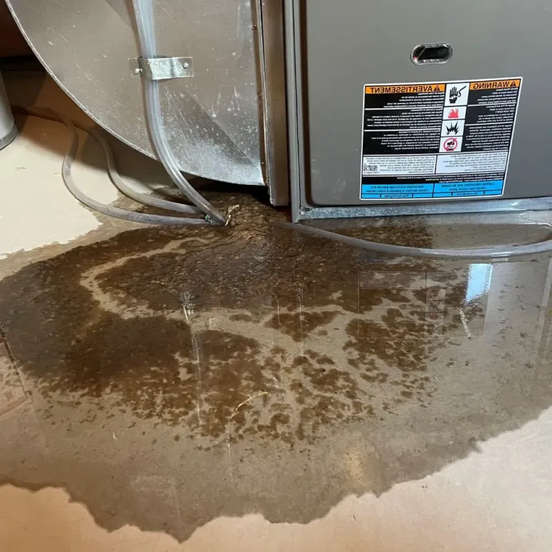 Pipe Burst and Leak Restoration in Greenville, KY