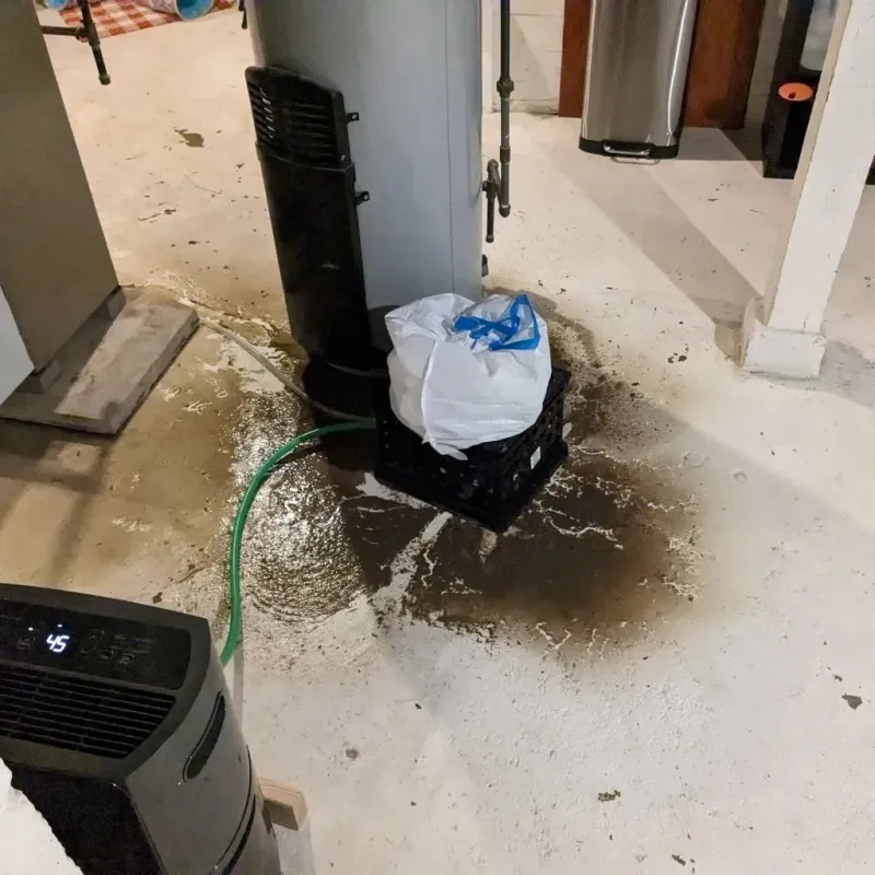 Sewage Backup Cleanup Service in Greenville, KY